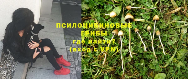 кокс Алексин